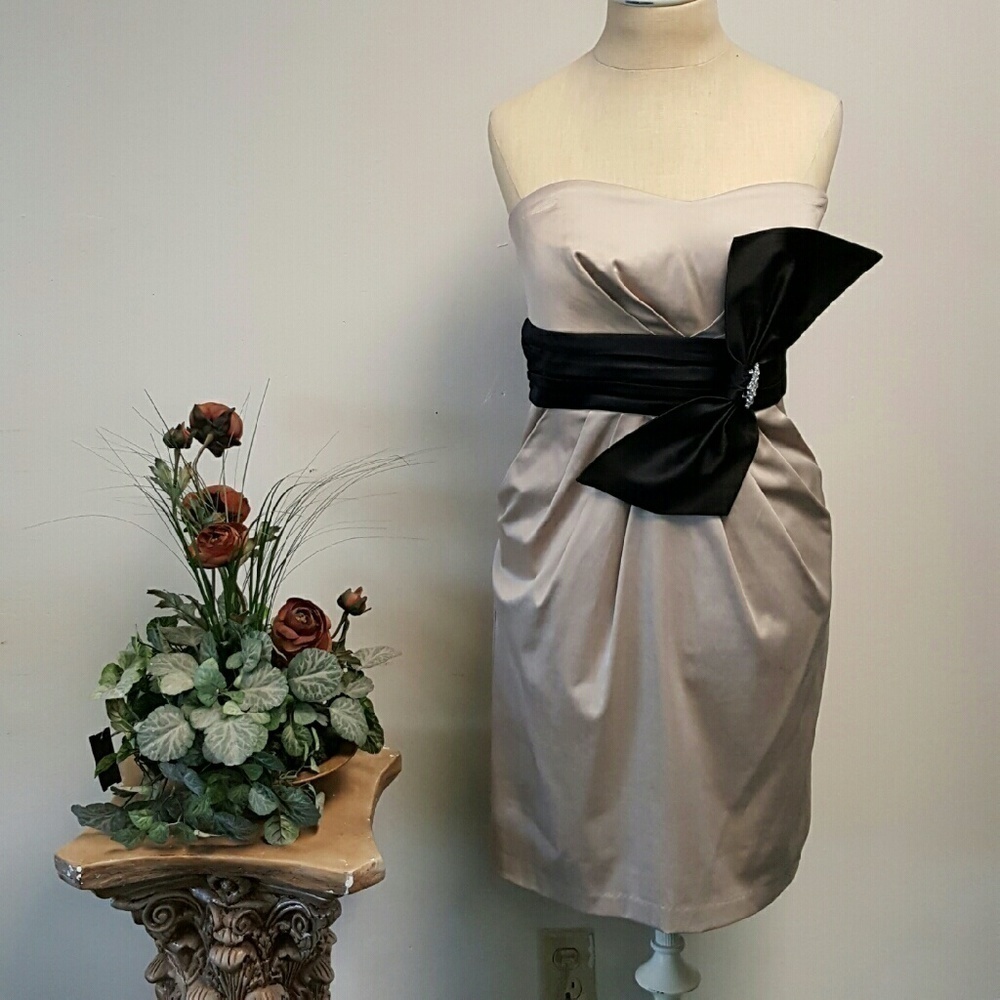 I. N. San Francisco dress size 11
